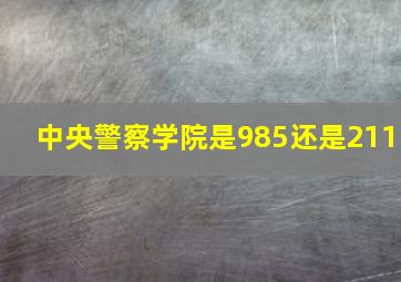 中央警察学院是985还是211