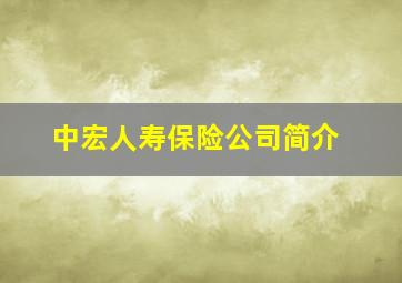 中宏人寿保险公司简介