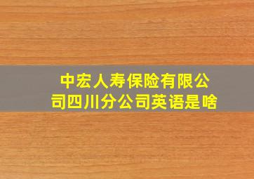 中宏人寿保险有限公司四川分公司英语是啥