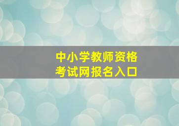 中小学教师资格考试网报名入口