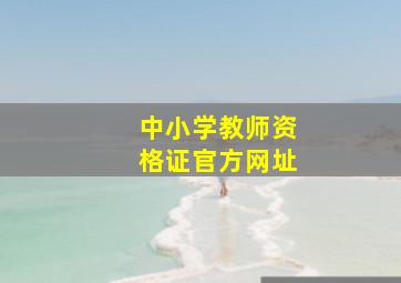 中小学教师资格证官方网址