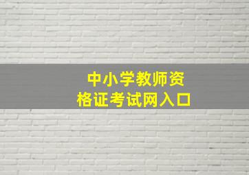 中小学教师资格证考试网入口