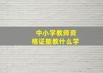 中小学教师资格证能教什么学