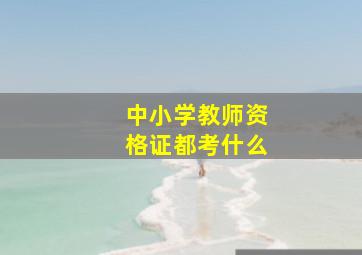 中小学教师资格证都考什么