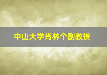 中山大学肖林个副教授