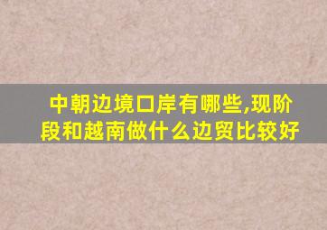 中朝边境口岸有哪些,现阶段和越南做什么边贸比较好