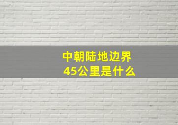 中朝陆地边界45公里是什么