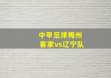 中甲足球梅州客家vs辽宁队