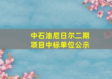 中石油尼日尔二期项目中标单位公示