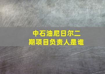 中石油尼日尔二期项目负责人是谁