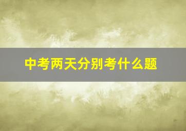 中考两天分别考什么题