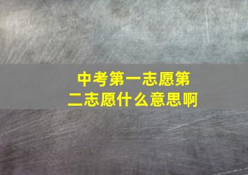 中考第一志愿第二志愿什么意思啊