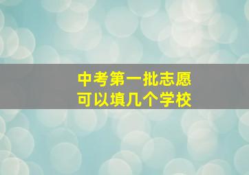 中考第一批志愿可以填几个学校