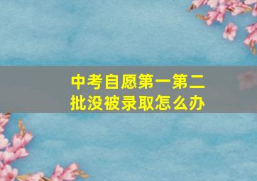 中考自愿第一第二批没被录取怎么办