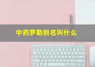 中药罗勒别名叫什么