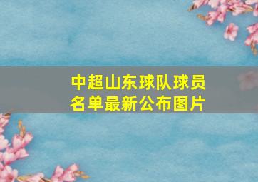 中超山东球队球员名单最新公布图片