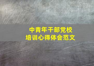 中青年干部党校培训心得体会范文