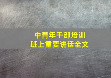 中青年干部培训班上重要讲话全文