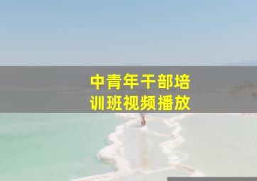 中青年干部培训班视频播放