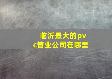 临沂最大的pvc管业公司在哪里