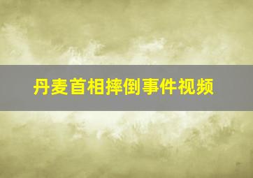 丹麦首相摔倒事件视频