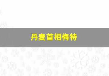 丹麦首相梅特