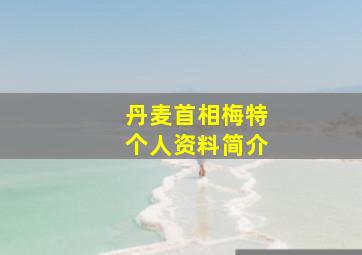 丹麦首相梅特个人资料简介