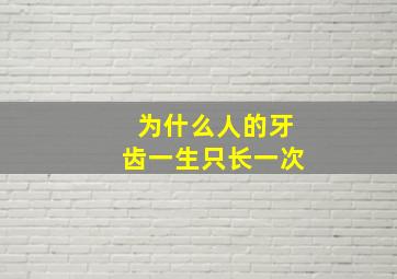 为什么人的牙齿一生只长一次