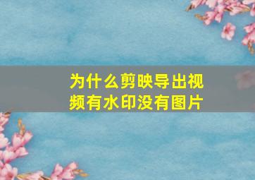 为什么剪映导出视频有水印没有图片