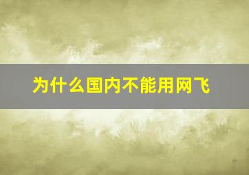 为什么国内不能用网飞