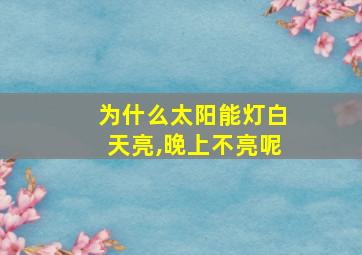 为什么太阳能灯白天亮,晚上不亮呢