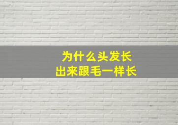 为什么头发长出来跟毛一样长