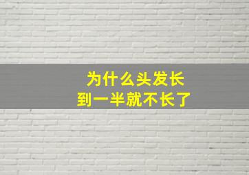 为什么头发长到一半就不长了