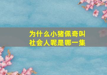 为什么小猪佩奇叫社会人呢是哪一集