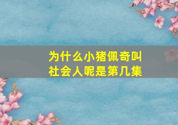 为什么小猪佩奇叫社会人呢是第几集