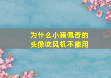 为什么小猪佩奇的头像吹风机不能用