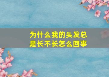 为什么我的头发总是长不长怎么回事