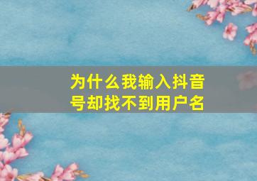 为什么我输入抖音号却找不到用户名