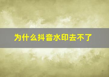 为什么抖音水印去不了