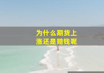 为什么期货上涨还是赔钱呢