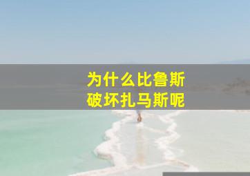 为什么比鲁斯破坏扎马斯呢