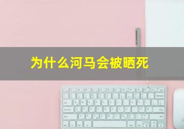 为什么河马会被晒死