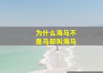 为什么海马不是马却叫海马