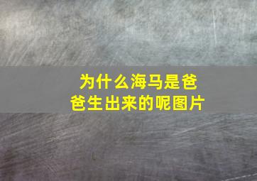 为什么海马是爸爸生出来的呢图片