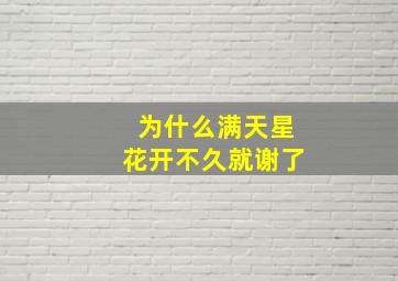 为什么满天星花开不久就谢了