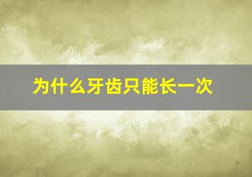 为什么牙齿只能长一次