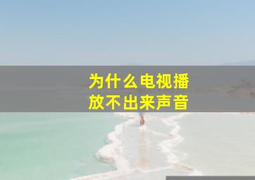 为什么电视播放不出来声音