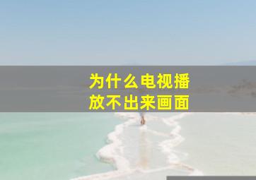 为什么电视播放不出来画面