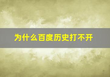 为什么百度历史打不开