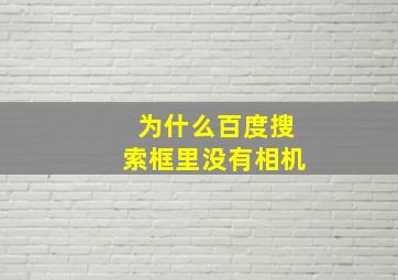 为什么百度搜索框里没有相机